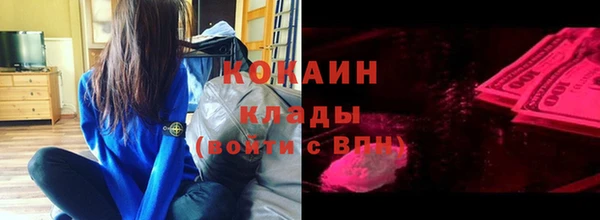 гашик Вяземский