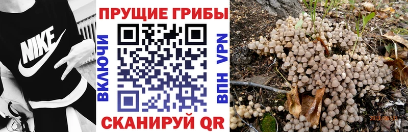 Псилоцибиновые грибы MAGIC MUSHROOMS  kraken зеркало  Алатырь 